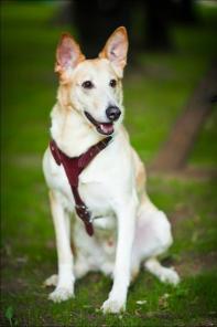 ������� ���-�������� ��� ���������� ������ � ���