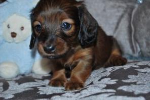 ��������� ����� ����� ��������� ��������������