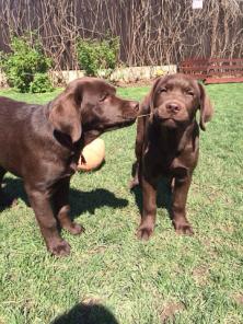 ������������ ����� ���������