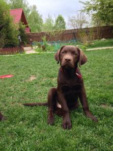 ������������ ����� ���������