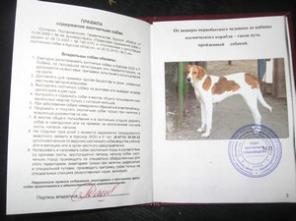 ������ ������ ������� ����� ������ ��� �����