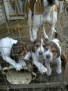 ������ ������ ������� ����� ������ ��� �����