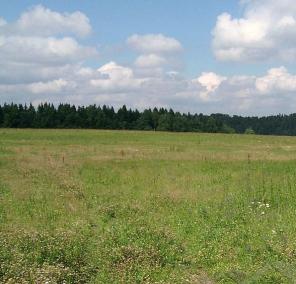 Земельный участок в Приозерском районе у Красного озера на Карельском перешейке