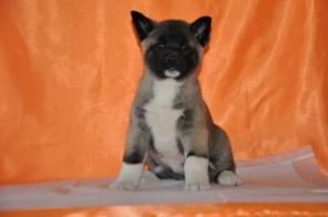 ������������ � ������� ����� ������������ �����