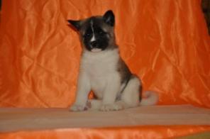 ������������ � ������� ����� ������������ �����