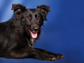 �������, ��������� �������� ������, ������, ������, ������ � ��� � ������ ����