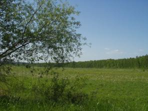 Участок в 47 км от МКАД пос. Никоновское