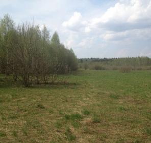 Земельные участки в п. Устинки