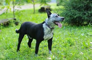 ���������� ��������-��� ��� � ������ ����