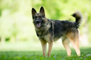 ����, ����� �������� ����� � ������ ����