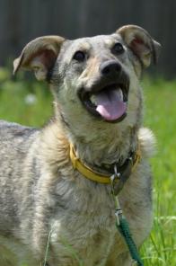 � ������ ���� ����������� ��������� ������