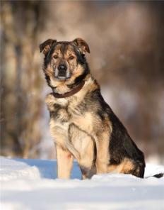 ������, �������������� ����������� ��� �� ������ � ���