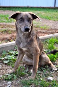 �������������� �����