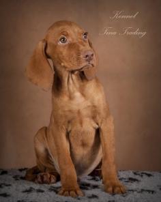 ����� ���������� ����� �� ��������� ���������