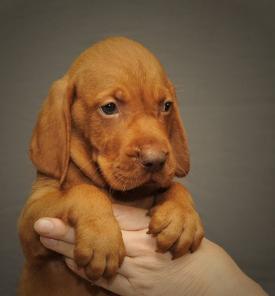 ����� ���������� ����� �� ��������� ���������