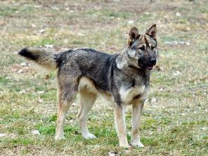 �����, ������� ������� ���������, � ���