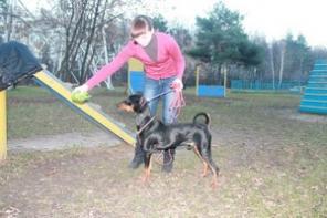 ����������� �������� ������ � ������ ���� .