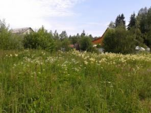 Земельные участки в Клинском р-не п. Иевлево