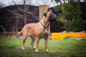 ����� ����������� ����� �������� ������