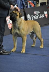 ����� ����������� ����� �������� ������