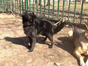 ������-��������� ���� ������ ��� ������ �������