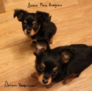 ��������� �������!