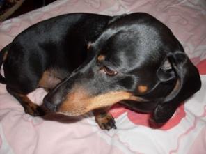 ����� ������ � ������� ���� �����