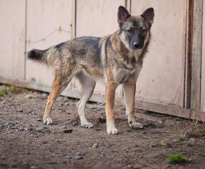 Фортуна ждет своего хозяина!