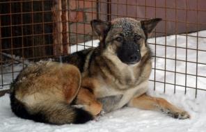 Фортуна ждет своего хозяина!