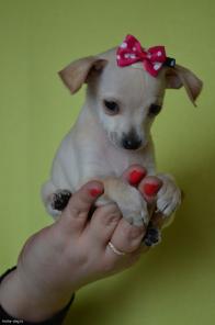 ������� ����� ��������� ������� ��� ������ .