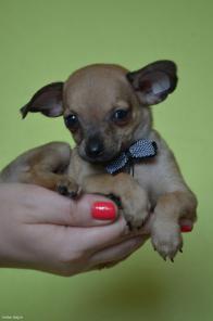 ������� ����� ��������� ������� ��� ������ .