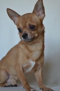 ������ �������� ��� �����.