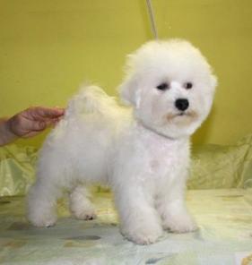 ����� �����, ����� ����������� �������