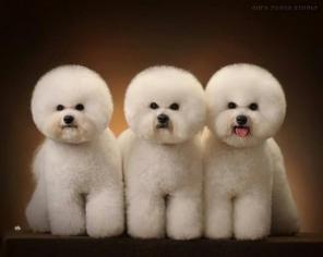 ����� �����, ����� ����������� �������