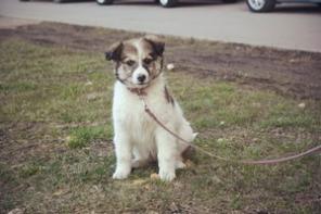 ������ � ������ ���� ������� �������!