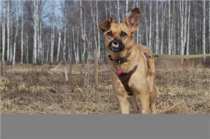 ����������� - ������ ���� ���!