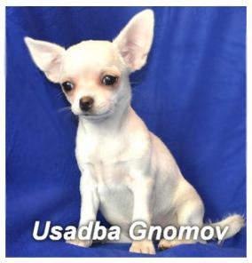 �������� �����