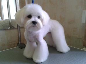 ���������� ������� ����� � �����!