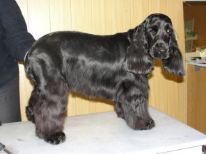 ���������� ������� ����� � �����!