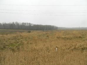 Коттеджный поселок "Гавшино"