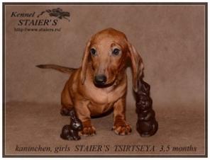 ����� ��������� ����� �-� ��� ���-������