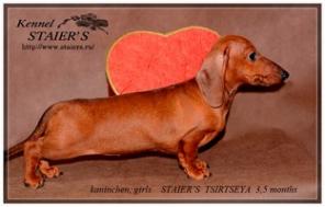 ����� ��������� ����� �-� ��� ���-������