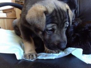 ����� �������� ������ � ������� ����