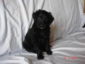 ����� �������� ������ � ������� ����