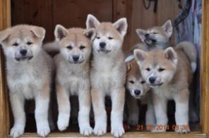 �������������� ����� �������� �����.