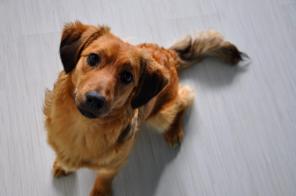 ����� ��������