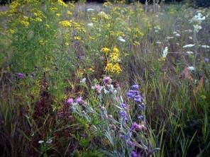 ������ �� ��� ��� � ������� ������� ����������