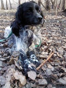 �����, ������� �������� � ������ ����