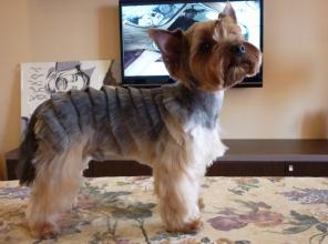 ������� ����� �����, ������ ��� �������, � �������