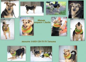 ��������, ������� ������� � ���, � ������ ����